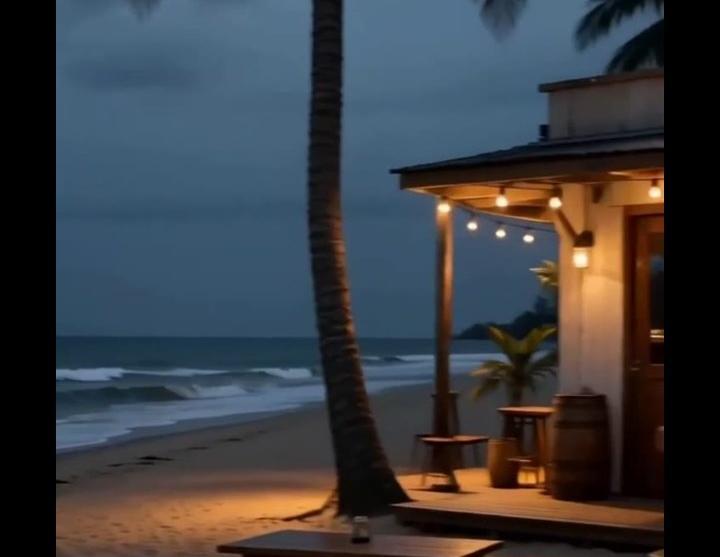 夜晚的海边小屋与椰树
