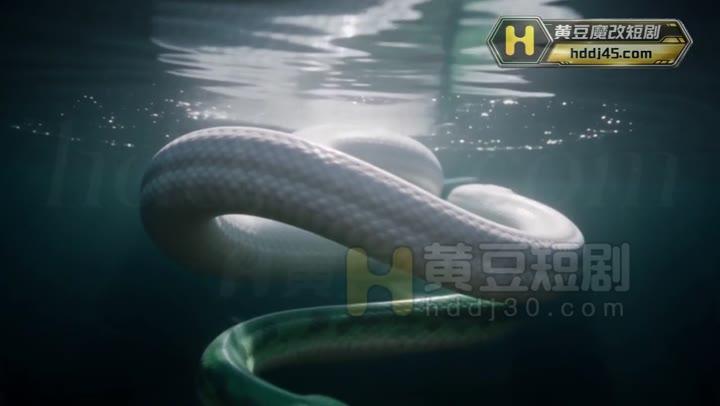 淫蛇传之欲海重生相伴而来的两人因许仙产生裂痕画面