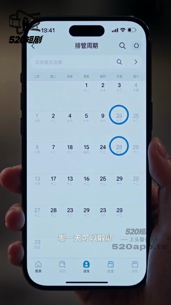 手机屏幕显示生育周期安排