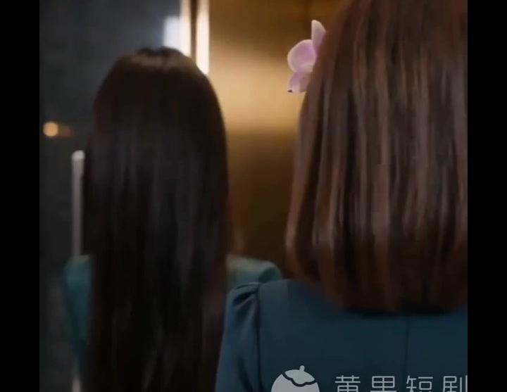 小蓝回到花田，与大树哥哥和解