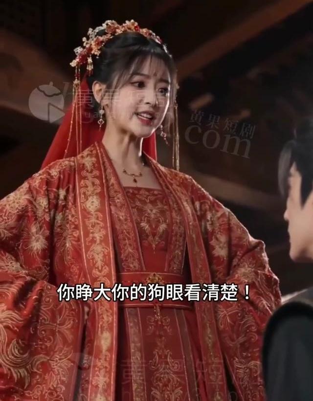楚娇娇在将军府内为替嫁身份争辩