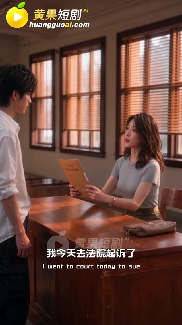 沈清在办公室向陆晨说明离婚诉求