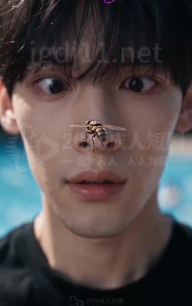 泳池旁男子与悬停昆虫的近景