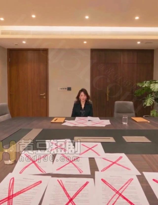 会议室桌上摆着被否定的方案