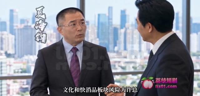 虚构剧情中的许总与合作角色讨论业务风险