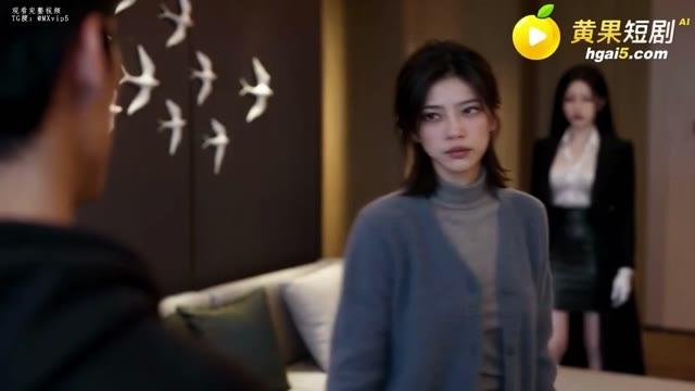 洛心岚说明报告由自己负责
