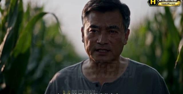 灰衣男子在玉米地提出威胁
