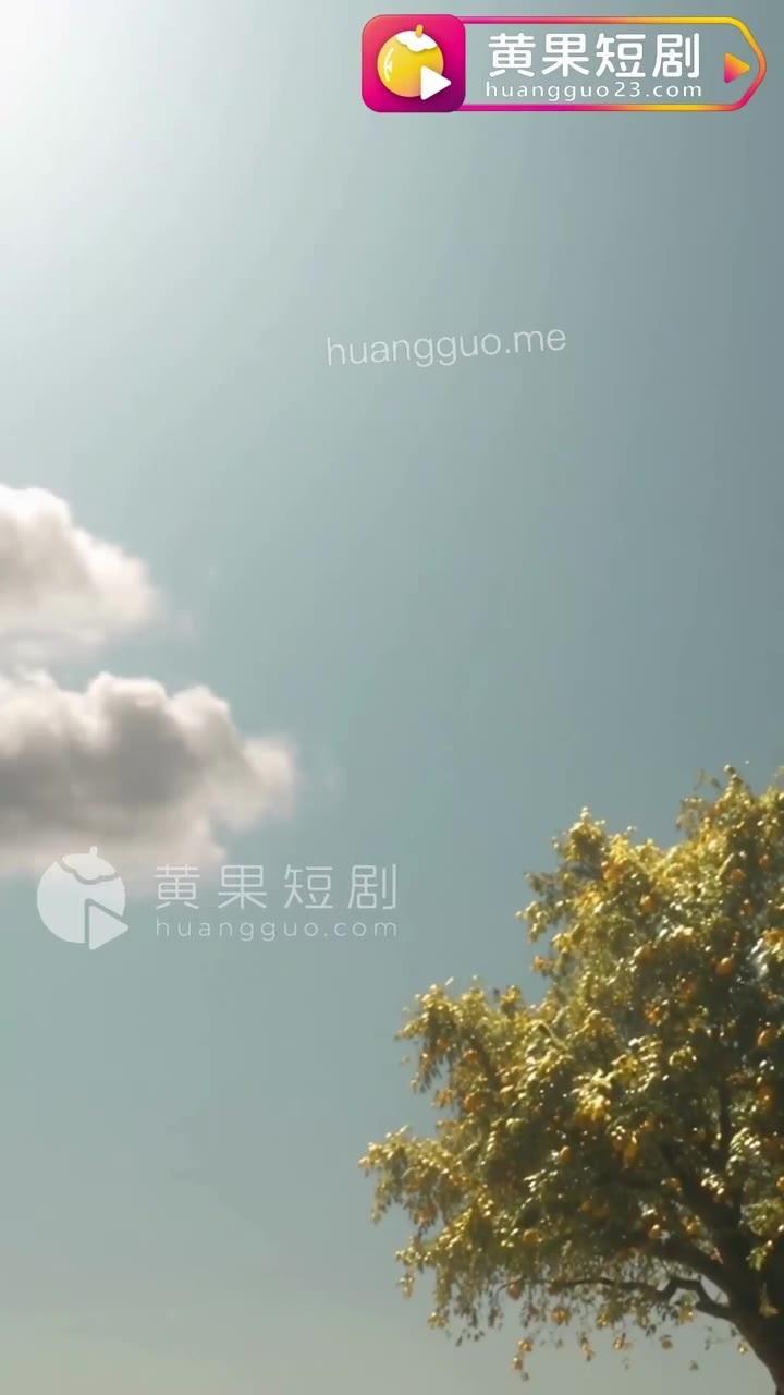 天龙顶树林上方的天空
