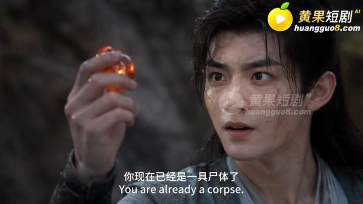 慕白带回用于治疗的妖丹
